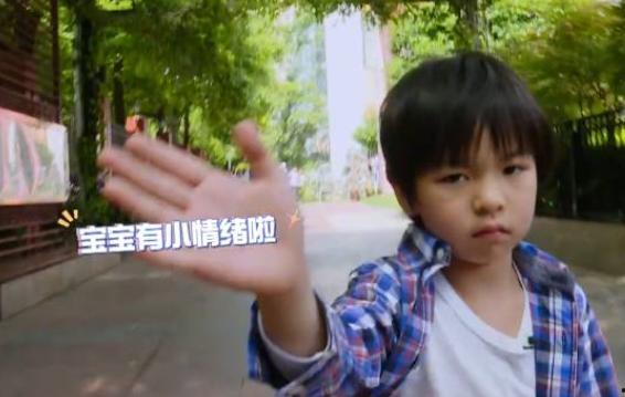 张婷儿子爆料视频,揭秘家庭背后惊人真相  第3张