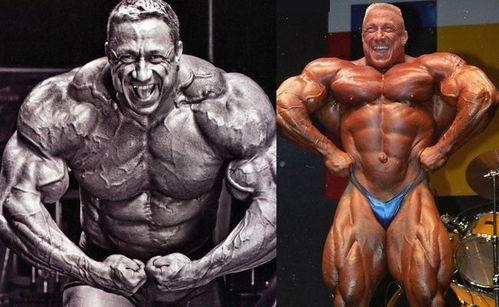 金城健美爆料视频最新版,健身界风云再起 第3张 金城健美爆料视频最新版,健身界风云再起 第3张